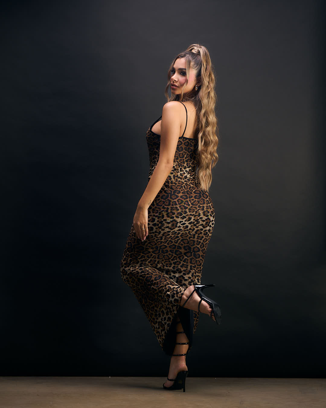 Animal Print Mesh Dress With Tie Front